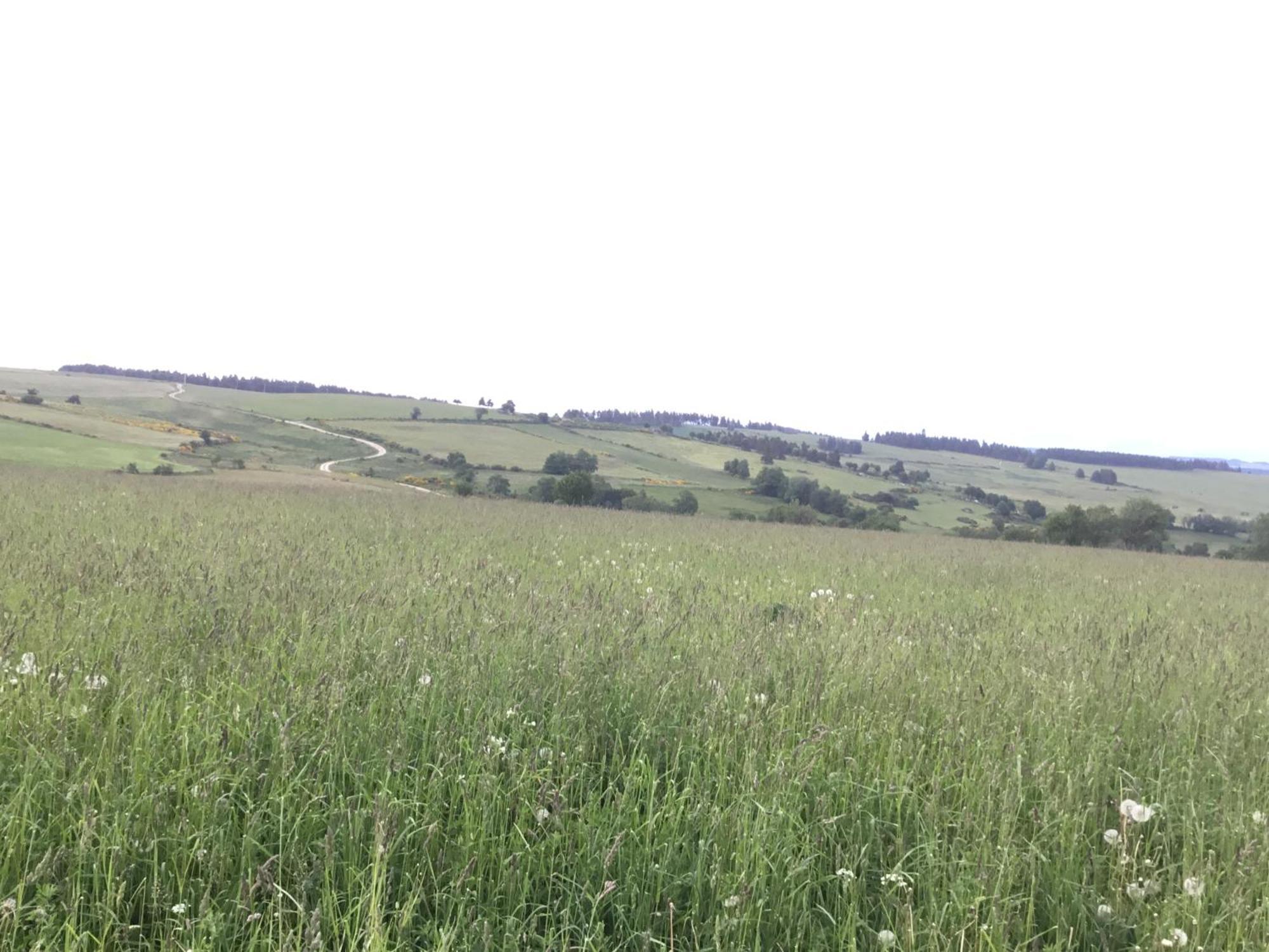 Le Chalet Du Roc La Panouse  Zewnętrze zdjęcie