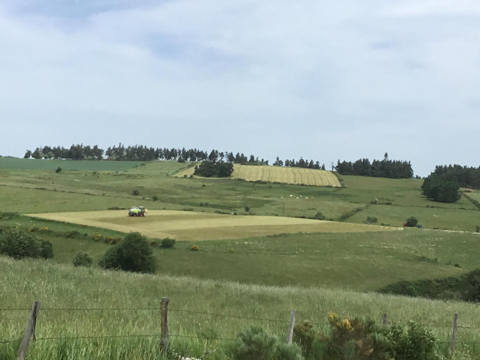 Le Chalet Du Roc La Panouse  Zewnętrze zdjęcie